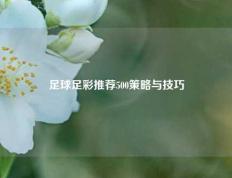 足球足彩推荐500策略与技巧