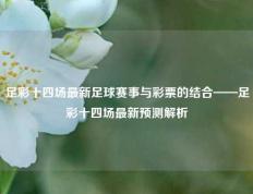 足彩十四场最新足球赛事与彩票的结合——足彩十四场最新预测解析