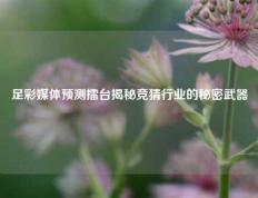 足彩媒体预测擂台揭秘竞猜行业的秘密武器