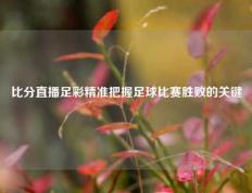 比分直播足彩精准把握足球比赛胜败的关键