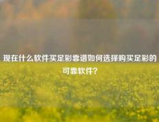 现在什么软件买足彩靠谱如何选择购买足彩的可靠软件？