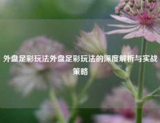 外盘足彩玩法外盘足彩玩法的深度解析与实战策略