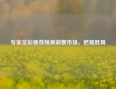 专家足彩推荐预测洞察市场，把握胜算