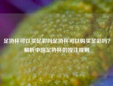 足协杯可以买足彩吗足协杯可以购买足彩吗？解析中国足协杯的投注规则