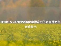 足彩胜负500万彩票揭秘赌博背后的财富神话与风险警示