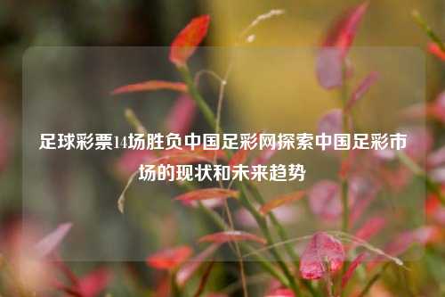 足球彩票14场胜负中国足彩网探索中国足彩市场的现状和未来趋势
