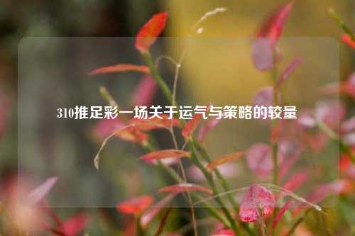 310推足彩一场关于运气与策略的较量