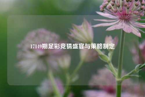 17149期足彩竞猜盛宴与策略制定