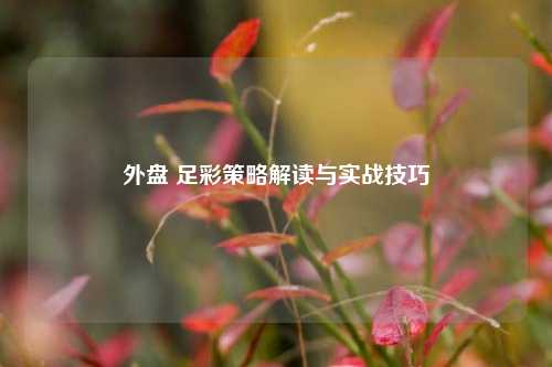 外盘 足彩策略解读与实战技巧