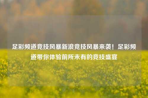 足彩频道竞技风暴新浪竞技风暴来袭！足彩频道带你体验前所未有的竞技盛宴