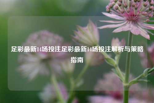 足彩最新14场投注足彩最新14场投注解析与策略指南