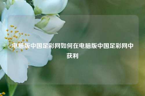 电脑版中国足彩网如何在电脑版中国足彩网中获利