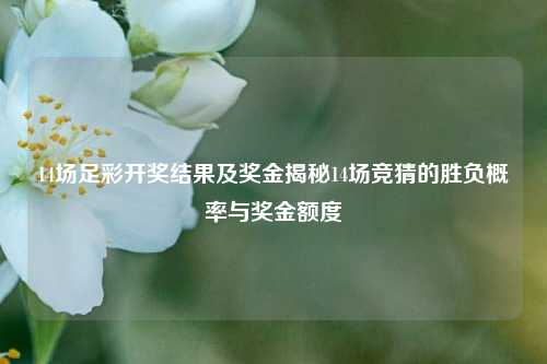 14场足彩开奖结果及奖金揭秘14场竞猜的胜负概率与奖金额度