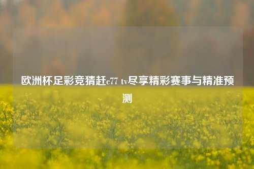 欧洲杯足彩竞猜赶c77 tv尽享精彩赛事与精准预测