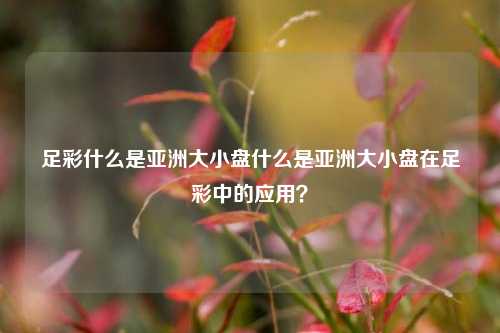 足彩什么是亚洲大小盘什么是亚洲大小盘在足彩中的应用？