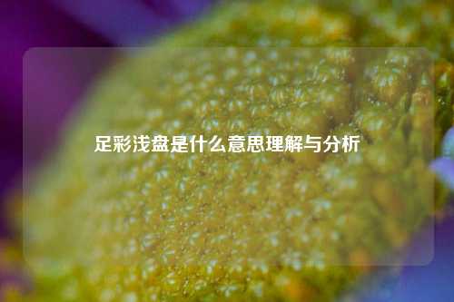 足彩浅盘是什么意思理解与分析