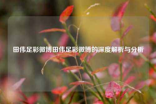 田伟足彩微博田伟足彩微博的深度解析与分析
