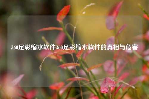 360足彩缩水软件360足彩缩水软件的真相与危害
