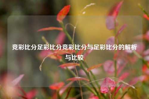 竞彩比分足彩比分竞彩比分与足彩比分的解析与比较