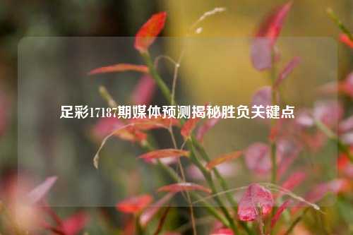 足彩17187期媒体预测揭秘胜负关键点