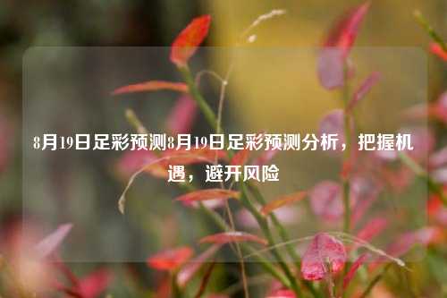 8月19日足彩预测8月19日足彩预测分析，把握机遇，避开风险