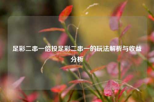 足彩二串一倍投足彩二串一的玩法解析与收益分析