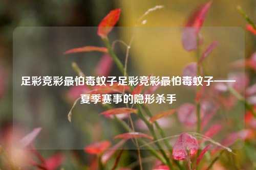 足彩竞彩最怕毒蚊子足彩竞彩最怕毒蚊子——夏季赛事的隐形杀手