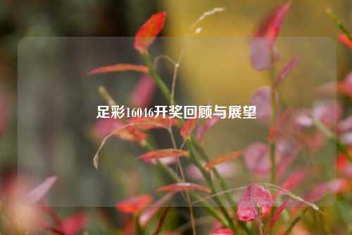 足彩16046开奖回顾与展望