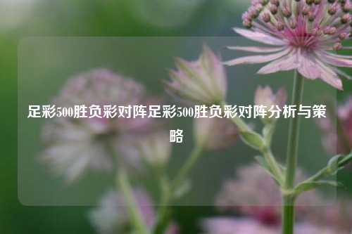 足彩500胜负彩对阵足彩500胜负彩对阵分析与策略