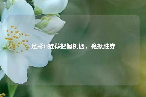 足彩14推荐把握机遇，稳操胜券