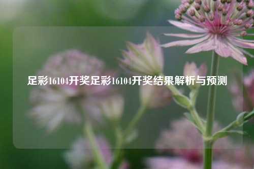 足彩16104开奖足彩16104开奖结果解析与预测