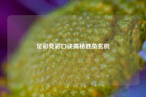 足彩竞彩口诀揭秘胜负玄机