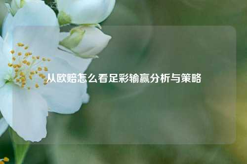 从欧赔怎么看足彩输赢分析与策略