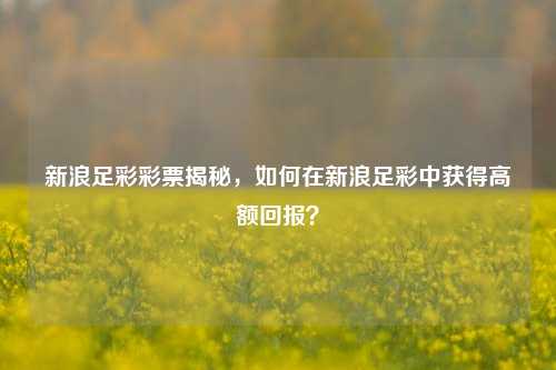 新浪足彩彩票揭秘，如何在新浪足彩中获得高额回报？