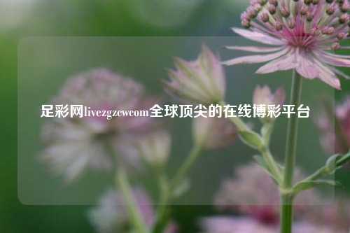 足彩网livezgzcwcom全球顶尖的在线博彩平台