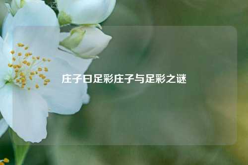 庄子曰足彩庄子与足彩之谜