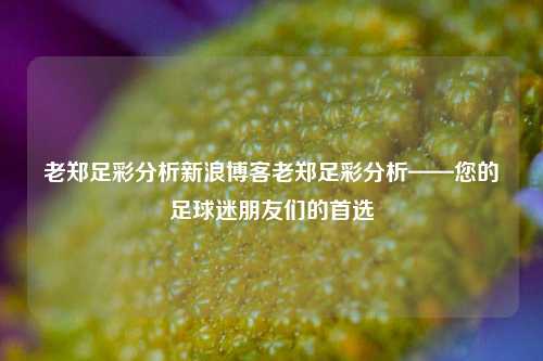 老郑足彩分析新浪博客老郑足彩分析——您的足球迷朋友们的首选