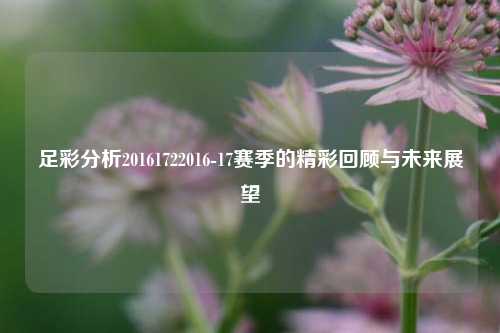 足彩分析20161722016-17赛季的精彩回顾与未来展望