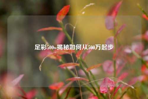 足彩500w揭秘如何从500万起步