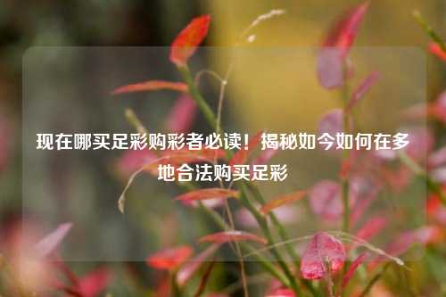现在哪买足彩购彩者必读！揭秘如今如何在多地合法购买足彩