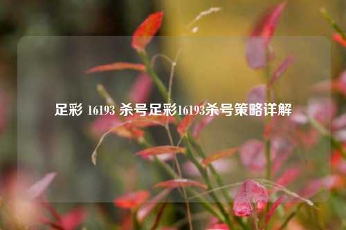 足彩 16193 杀号足彩16193杀号策略详解