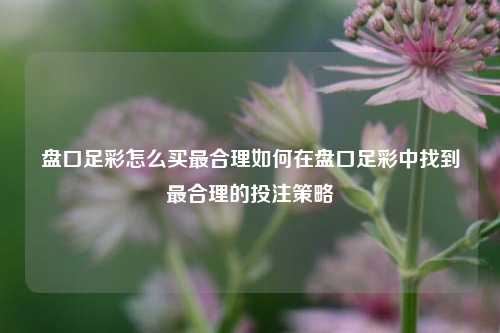 盘口足彩怎么买最合理如何在盘口足彩中找到最合理的投注策略