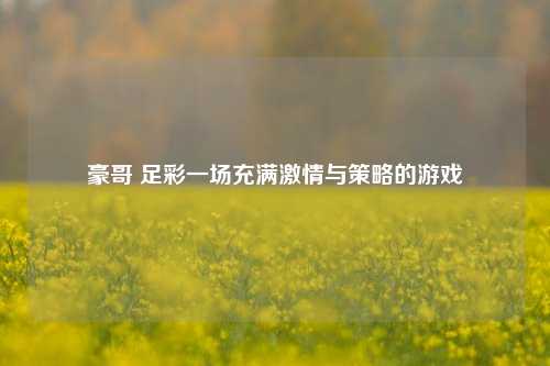 豪哥 足彩一场充满激情与策略的游戏