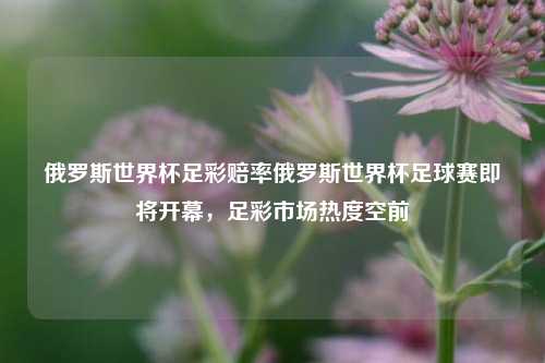 俄罗斯世界杯足彩赔率俄罗斯世界杯足球赛即将开幕，足彩市场热度空前