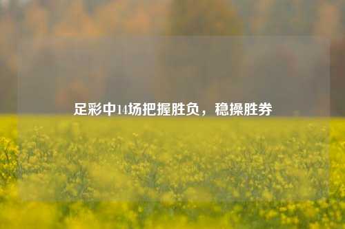 足彩中14场把握胜负，稳操胜券