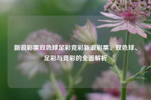 新浪彩票双色球足彩竞彩新浪彩票、双色球、足彩与竞彩的全面解析