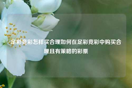 足彩竞彩怎样买合理如何在足彩竞彩中购买合理且有策略的彩票