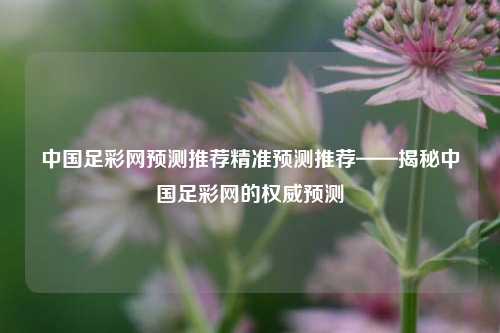中国足彩网预测推荐精准预测推荐——揭秘中国足彩网的权威预测